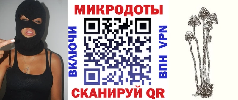 что такое наркотик  Моздок  Галлюциногенные грибы Psilocybine cubensis 